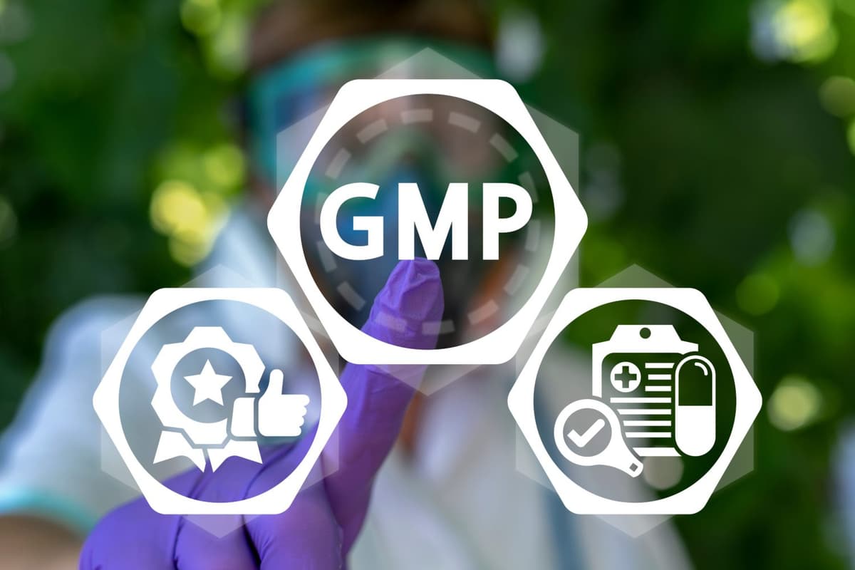 What is GMP?