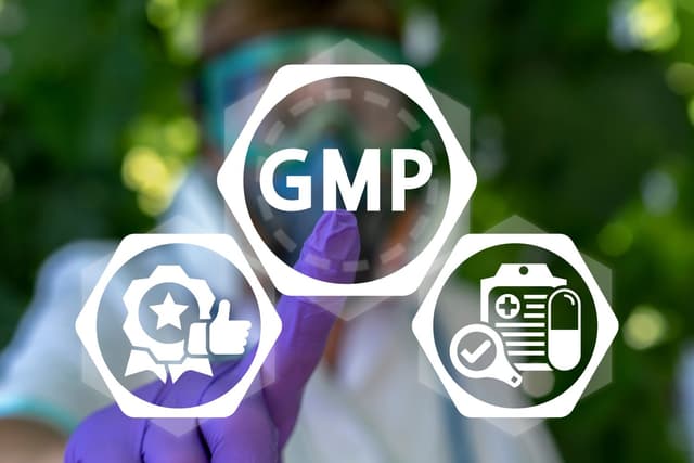 GMP Certification