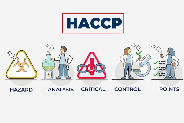 HACCP Certification